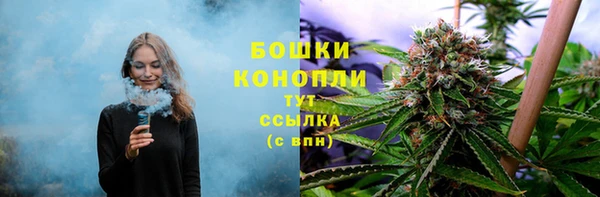 мяу мяу мука Аркадак