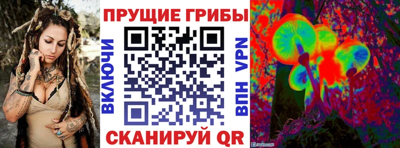 kraken   Закаменск  Псилоцибиновые грибы ЛСД 